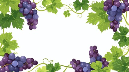 fresh grape border frame on white background