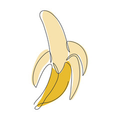 Peeled banana doodle illustration. Tropical exotic ripe fruit isolated on white. Design element. One banana drawn in a continuous line. Ingredient for dessert, smoothie. Sweet healthy food