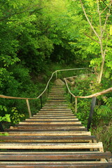 Obraz premium A wooden bridge over a stream