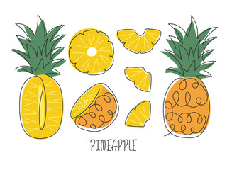 Various cut pineapple isolated on white. Doodle continuous line drawn illustration. Collection of ananas whole, half, slices. Abstract exotic tropical fruit. Ingredient for cocktail, dessert
