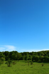 Fototapeta premium A blue sky with white clouds