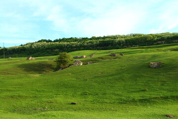 A grassy field with rocks