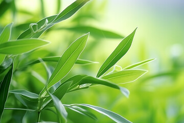 close-up Green Willow leaves on natural background