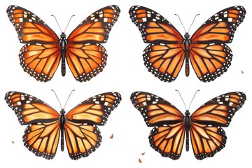 A group of four colorful butterflies. Suitable for nature and wildlife themed designs