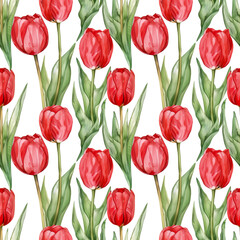 Obraz premium watercolor illustrations of red tulips against a white background, seamless watercolor art pattern
