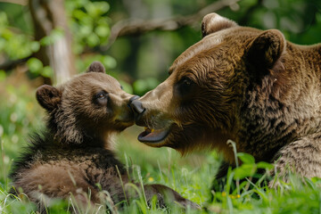 Obraz premium brown bear with a cub happy in the forest, happy moment wildlife animal.