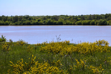 Ukrainian landscape of rivers and lakes