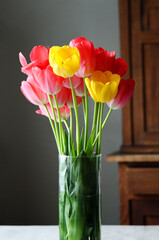 Colorful tulips in a vase with a wooden background. Mother's day or women's day background. Bright...