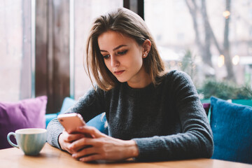 Concentrated young female teenager sitting at cafe and reading messages on mobile phone while...