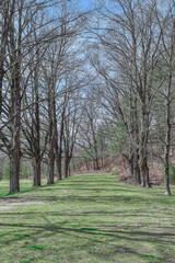 Obraz premium veiw of the landscape of the quabbin reservoir
