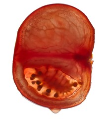 Tomato slice with white background