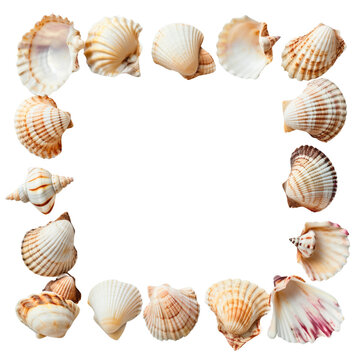 A seashell frame, adorned with a collection of colorful shells from a summer beach trip