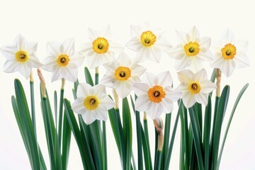 A vibrant arrangement of white and yellow flowers in a vase. Perfect for home decor or floral design projects