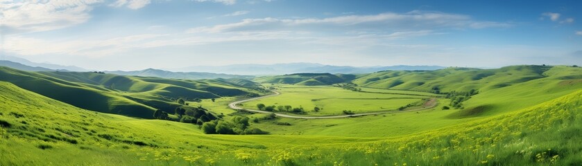 Panoramic view of rolling green hills, scattered wildflowers, bright day