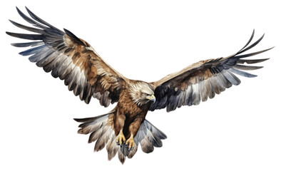 Obraz premium PNG Buzzard vulture animal flying.