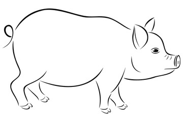 Domestic pig icon - side view, outline