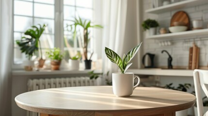 Apartment Living: The cup positioned on a small dining table in a cozy apartment kitchen, with elements like potted plants or decorative items adding a touch of homeliness to the scene. Generative AI