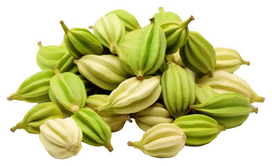 PNG Cardamom pods food white background ingredient