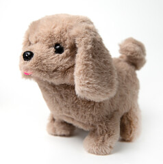 A stuffed dog toy. Cute toy puppy shot on a gray background