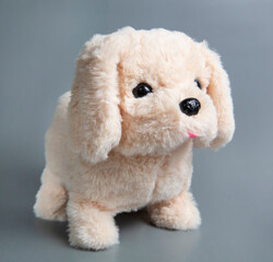 A stuffed dog toy. Cute toy puppy shot on a gray background