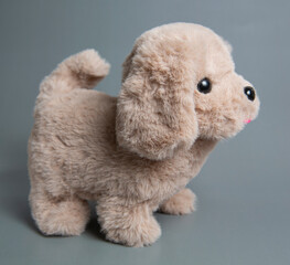 A stuffed dog toy. Cute toy puppy shot on a gray background