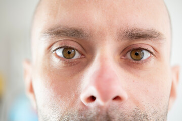 Intense gaze, Male Brown Eyes close-up, young Caucasian man looking, Masculine beauty, vision...