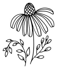 Flower Bouquet Svg, Flower svg, Bouquet svg, wildflowers svg, wildflowers, wedding svg, minimalist bouquet svg, cut files for Cricut, Silhouette