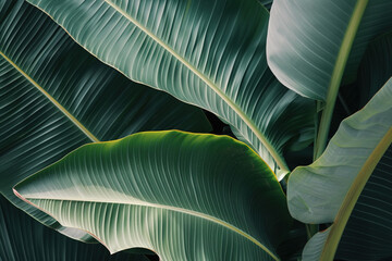 Background with green tropical leaves