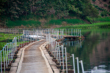 Fototapeta premium water bridge in the middle of the jungle on a lake