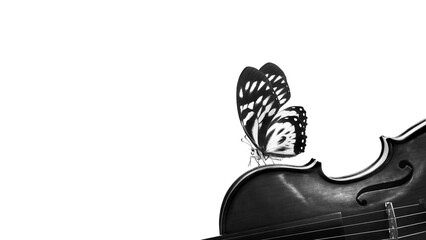 music concept. tropical butterfly and violin on a white background, black and white. copy space