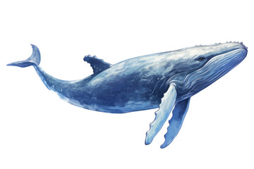 Fototapeta premium PNG Whale animal mammal fish, digital paint illustration. AI generated image