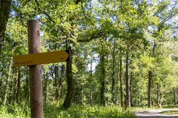 Panneau de randonnée en forêt, France