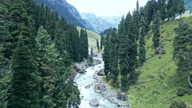 Trek to Lake Tarsar, Jammu and Kashmir, India from the air