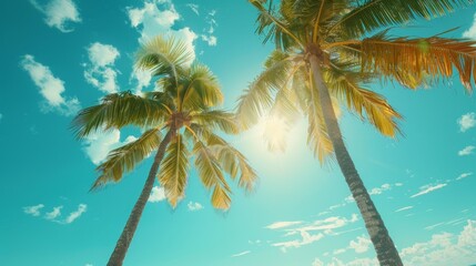 tropical beach scene, a sunny beach paradise with palm trees swaying in the gentle breeze, creating a tropical summer vibe in the background
