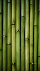 Green bamboo wall background