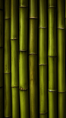 Obraz premium Green bamboo wall background