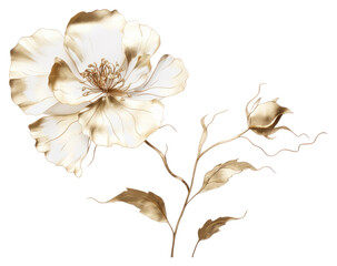 PNG Flower petal plant white.