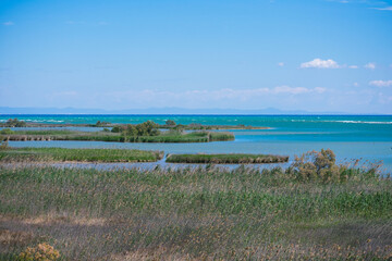 wetland landscape with the ocean in the background