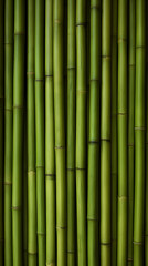 Obraz premium Green bamboo wall background