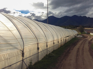A high tunnel greenhouse by a dirt road and mountains