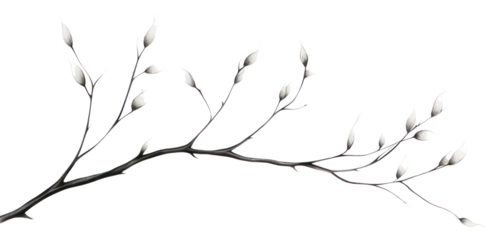 PNG Drawing flower sketch plant.