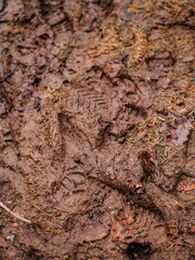 Boots footprint on a wet muddy soil in a forest or field. Travel in wild nature theme. Living in a rural country side with minimal comfort theme.