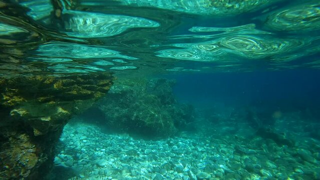 HALF UNDERWATER: View of rocky coast overgrown with green pine trees from wavy surface of crystal blue sea. Intersection of air and water shows stunning clarity of water and diversity of the seabed.