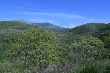 Obraz premium The Italian landscape of the province of Caserta.