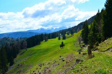Alpine pasture in Karavanke mountains bellow Hruški vrh in Gorenjska, Slovenia in spring