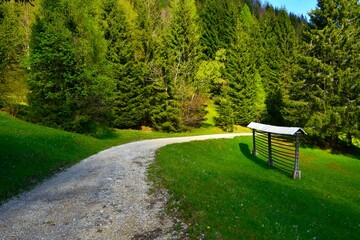 Hayrack on a meadow next to a gravel road in Karavanke in Gorenjska, Slovenia