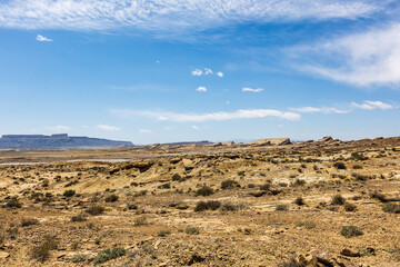 landscape of the desert
