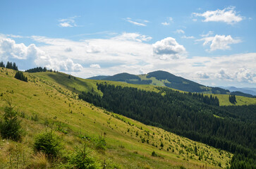 Obraz premium Lush green mountain landscape with undulating rolling hills and mountains covered in vibrant greenery and green forests at summer day. Carpathians, Ukraine 