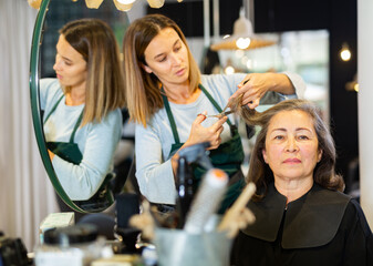 Elderly silver haired woman getting haircut by professional young female hairdresser in modern hair...