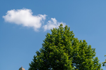 Obraz premium 空と雲と新緑と